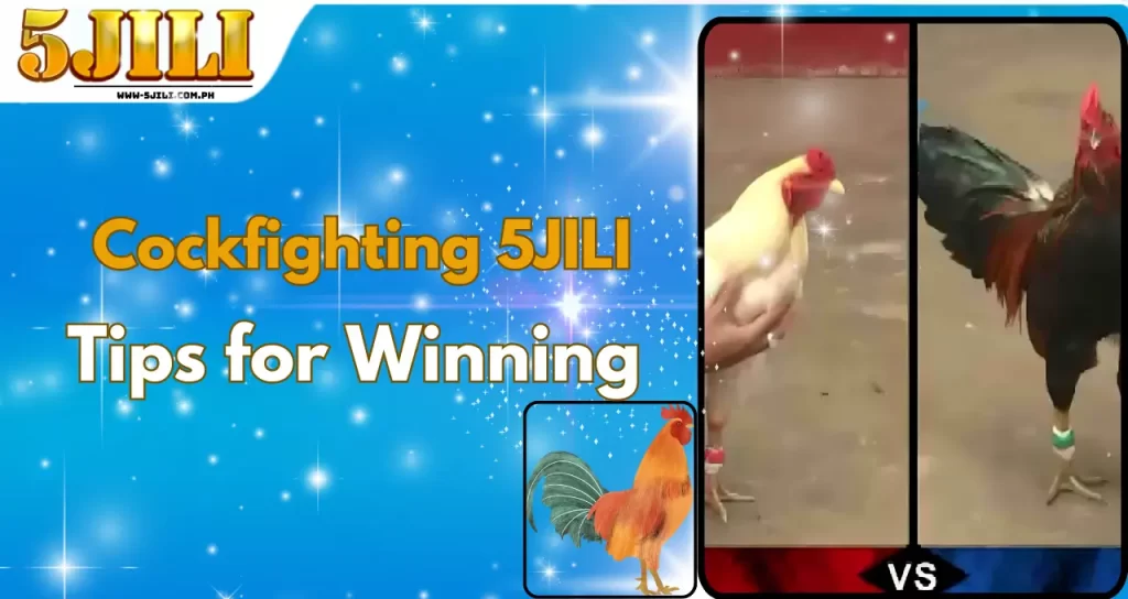 Image cockfighting 5jili